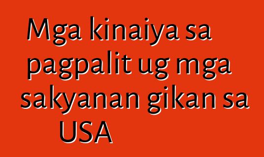 Mga kinaiya sa pagpalit ug mga sakyanan gikan sa USA