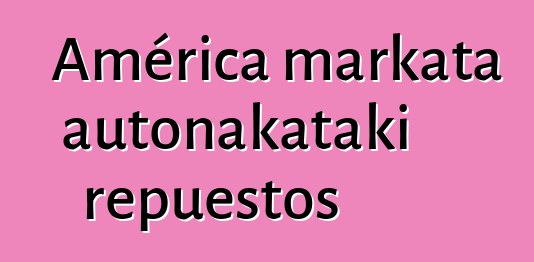 América markata autonakataki repuestos