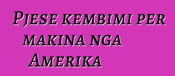 Pjese kembimi per makina nga Amerika