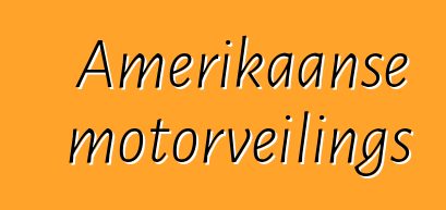 Amerikaanse motorveilings
