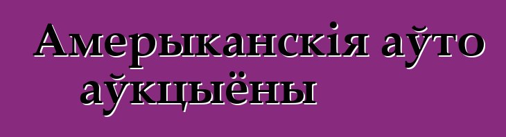Амерыканскія аўто аўкцыёны