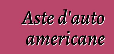 Aste d'auto americane