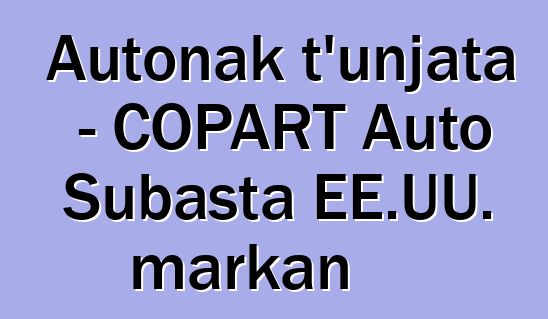 Autonak t'unjata - COPART Auto Subasta EE.UU. markan