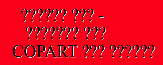 ध्वस्त कार - अमेरिका में COPART ऑटो नीलामी