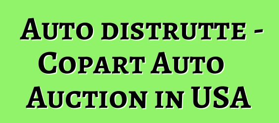Auto distrutte - Copart Auto Auction in USA