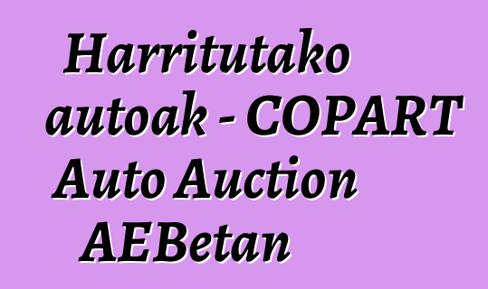 Harritutako autoak - COPART Auto Auction AEBetan