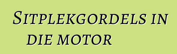 Sitplekgordels in die motor