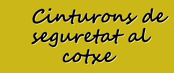 Cinturons de seguretat al cotxe