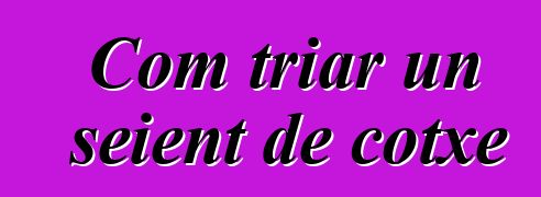 Com triar un seient de cotxe