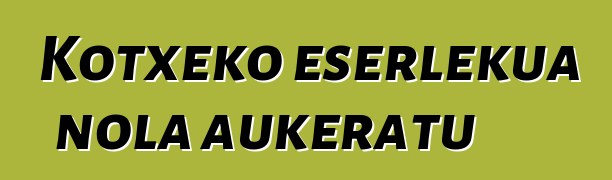 Kotxeko eserlekua nola aukeratu