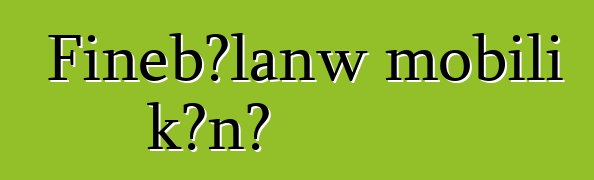 Fiɲɛbɔlanw mobili kɔnɔ