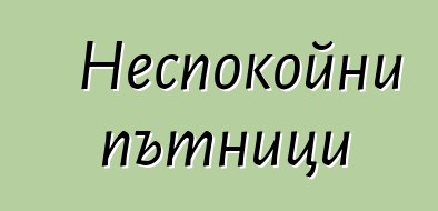 Неспокойни пътници
