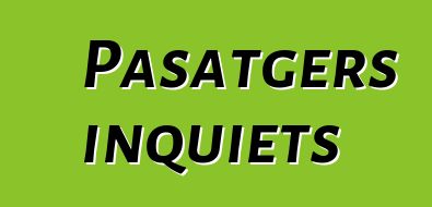 Pasatgers inquiets