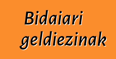 Bidaiari geldiezinak
