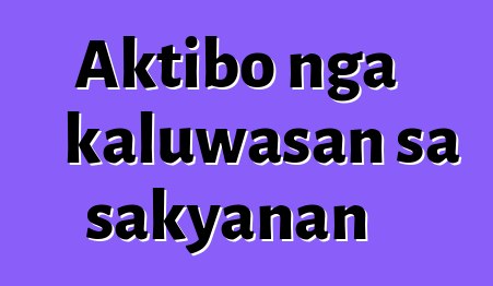 Aktibo nga kaluwasan sa sakyanan