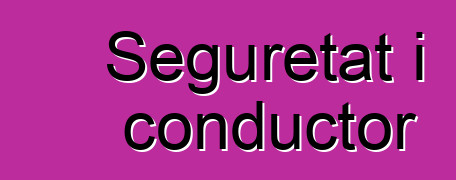Seguretat i conductor