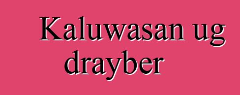 Kaluwasan ug drayber