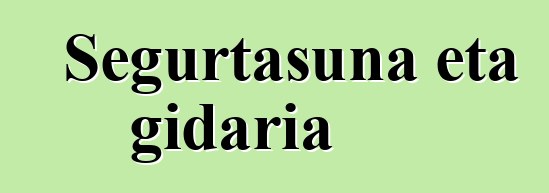 Segurtasuna eta gidaria