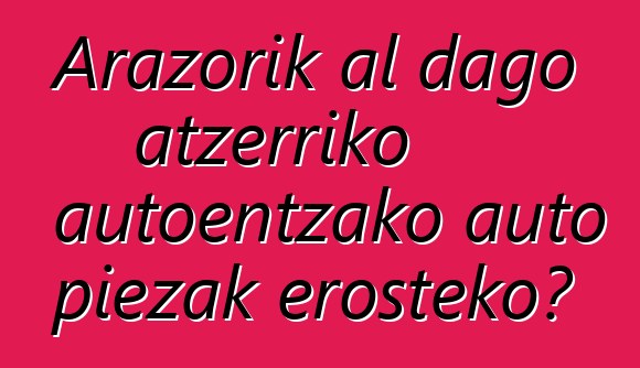 Arazorik al dago atzerriko autoentzako auto piezak erosteko?