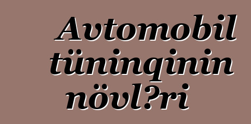 Avtomobil tüninqinin növləri