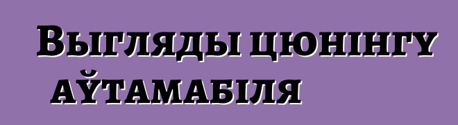 Выгляды цюнінгу аўтамабіля