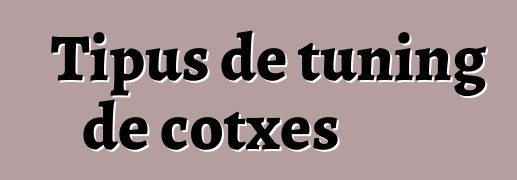 Tipus de tuning de cotxes