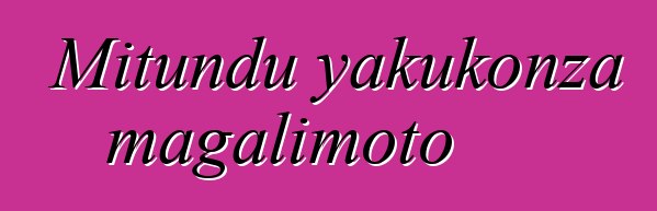 Mitundu yakukonza magalimoto