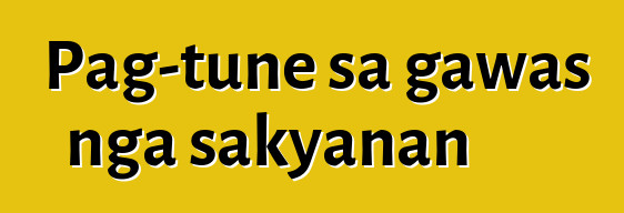 Pag-tune sa gawas nga sakyanan