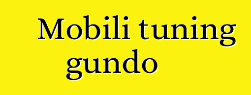 Mobili tuning gundo