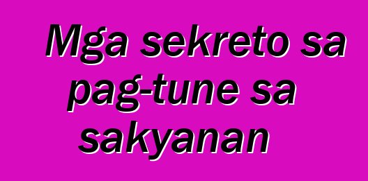 Mga sekreto sa pag-tune sa sakyanan
