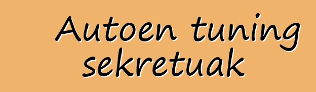Autoen tuning sekretuak