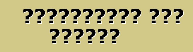 ভার্চুয়াল কার টিউনিং