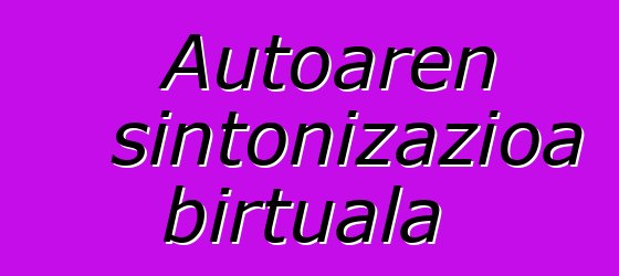 Autoaren sintonizazioa birtuala