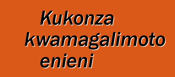 Kukonza kwamagalimoto enieni