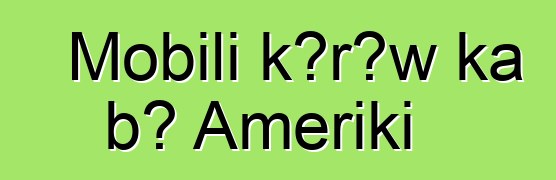 Mobili kɔrɔw ka bɔ Ameriki