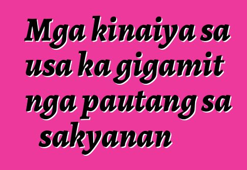 Mga kinaiya sa usa ka gigamit nga pautang sa sakyanan