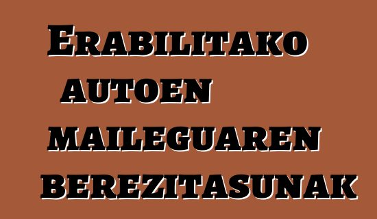 Erabilitako autoen maileguaren berezitasunak