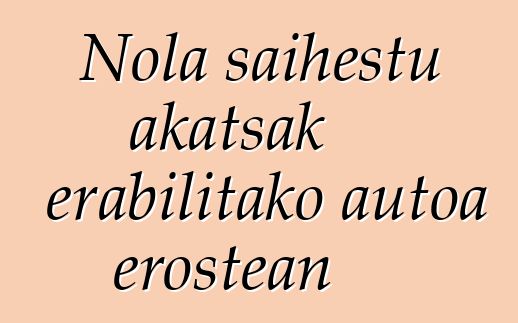 Nola saihestu akatsak erabilitako autoa erostean