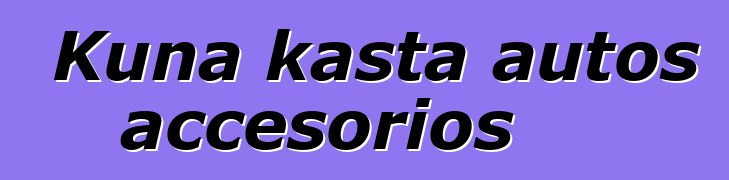 Kuna kasta autos accesorios