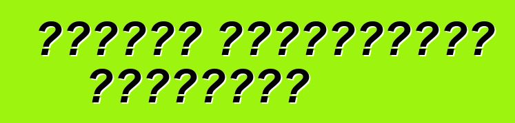 গাড়ির আনুষাঙ্গিক প্রকারের