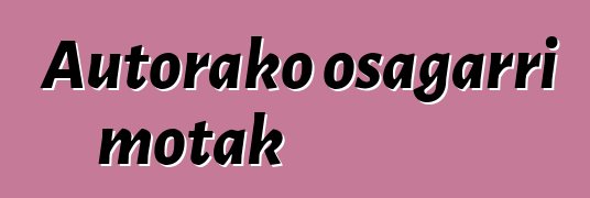 Autorako osagarri motak