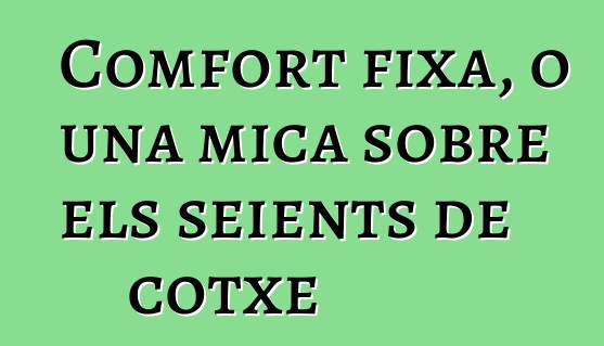 Comfort fixa, o una mica sobre els seients de cotxe