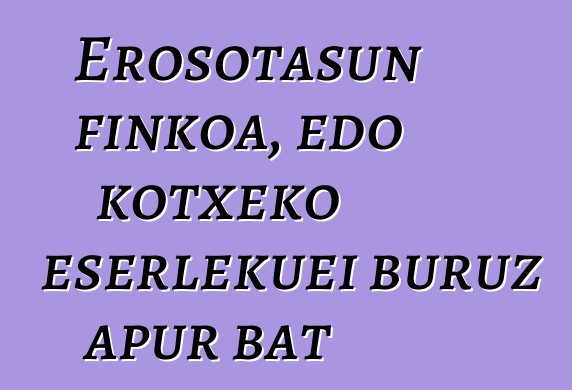 Erosotasun finkoa, edo kotxeko eserlekuei buruz apur bat