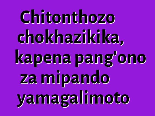 Chitonthozo chokhazikika, kapena pang'ono za mipando yamagalimoto