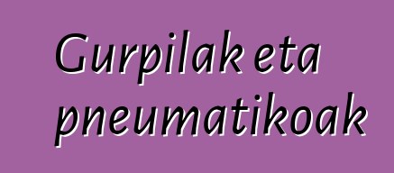 Gurpilak eta pneumatikoak