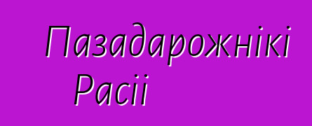 Пазадарожнікі Расіі