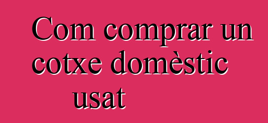 Com comprar un cotxe domèstic usat