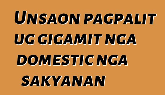 Unsaon pagpalit ug gigamit nga domestic nga sakyanan