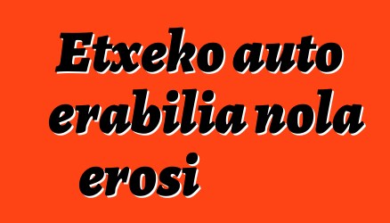 Etxeko auto erabilia nola erosi