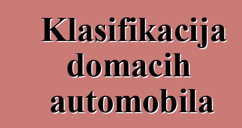 Klasifikacija domaćih automobila